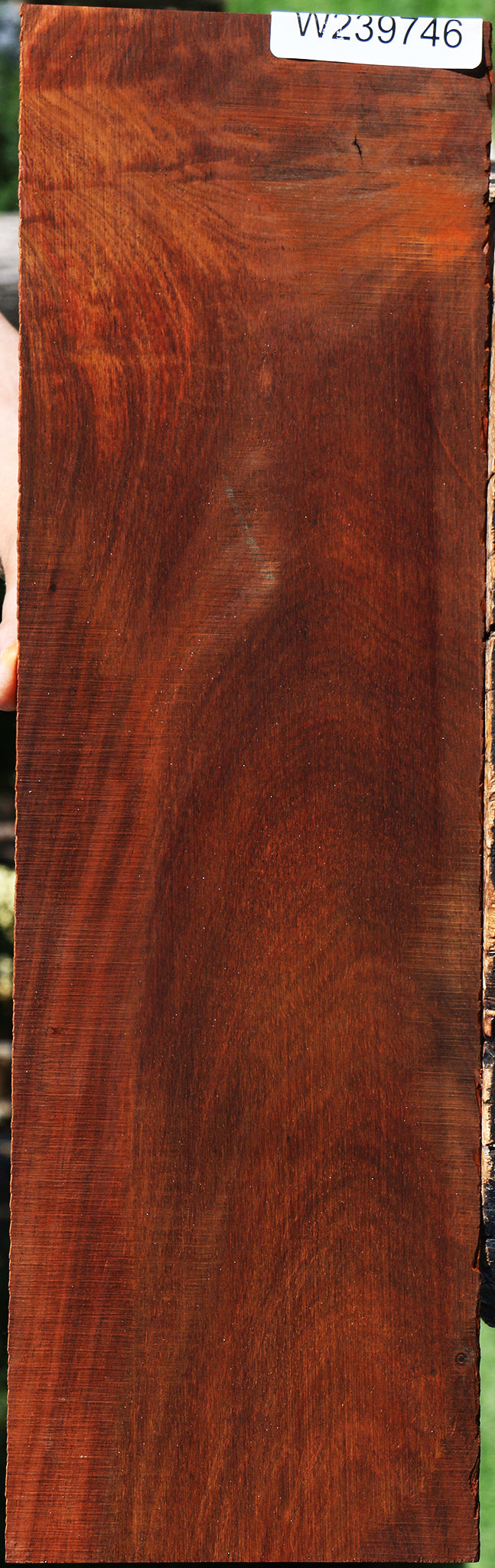 Cocobolo Micro Lumber
