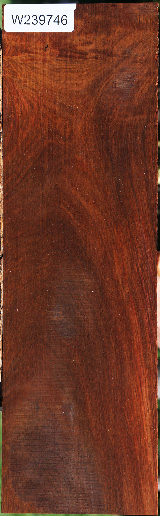 Cocobolo Micro Lumber