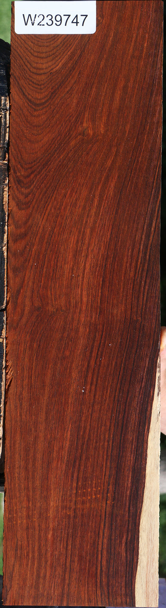 Cocobolo Micro Lumber