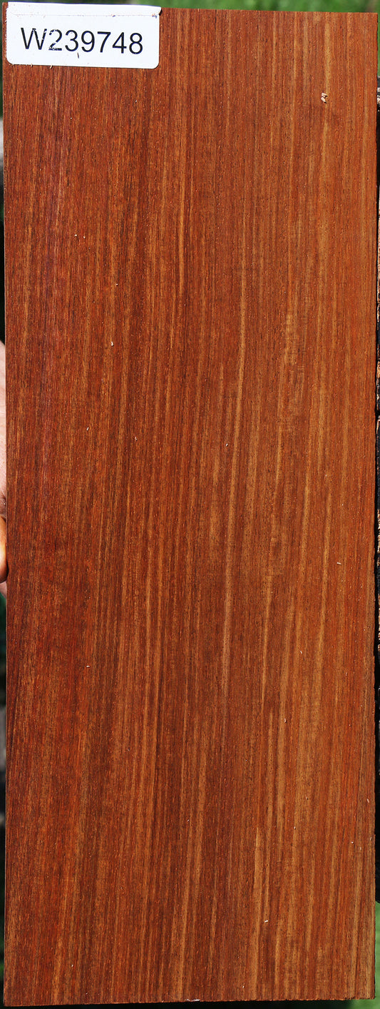 Figured Cocobolo Instrument Micro Lumber
