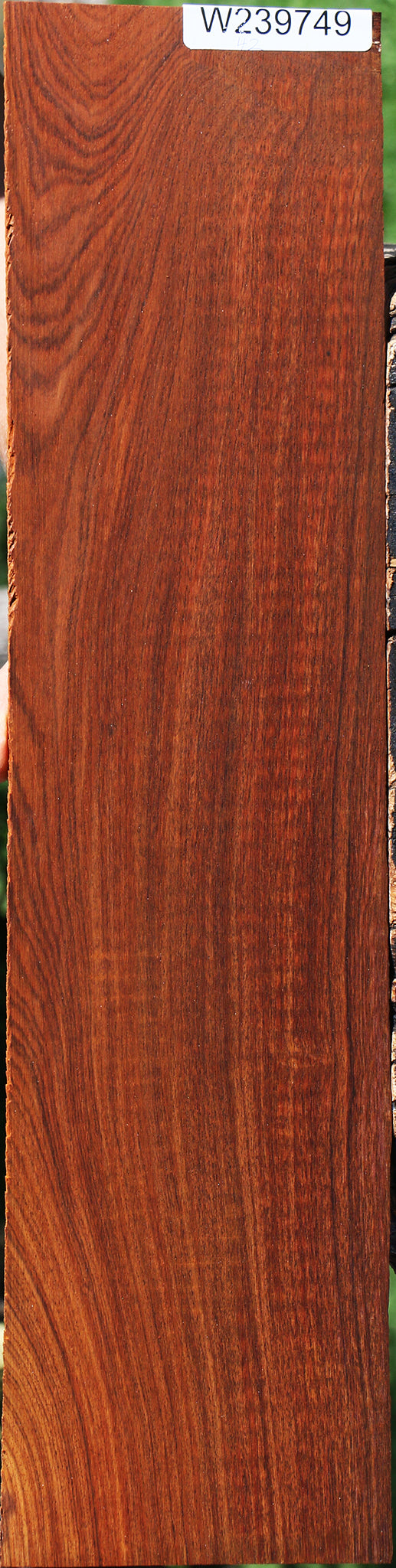 Cocobolo Micro Lumber