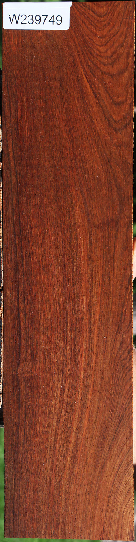 Cocobolo Micro Lumber