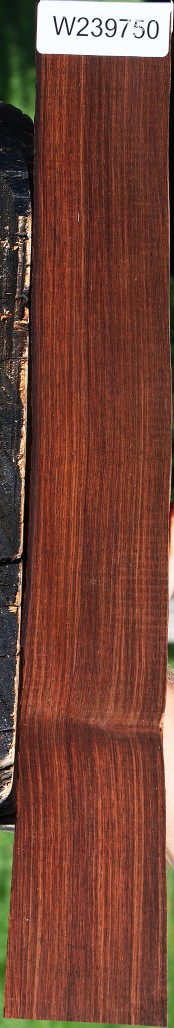 Cocobolo Micro Lumber