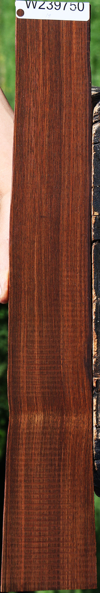 Cocobolo Micro Lumber