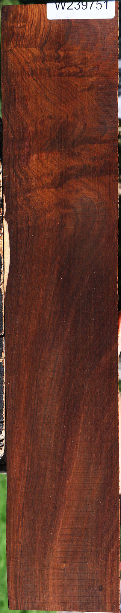 Extra Fancy Cocobolo Micro Lumber