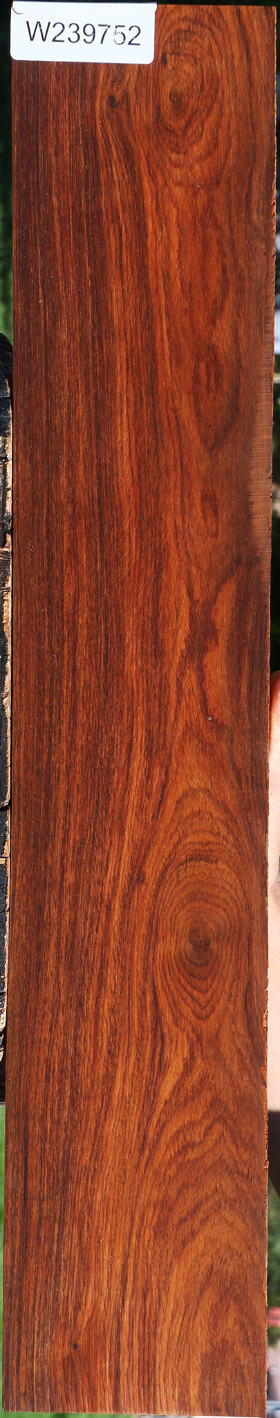 Cocobolo Micro Lumber