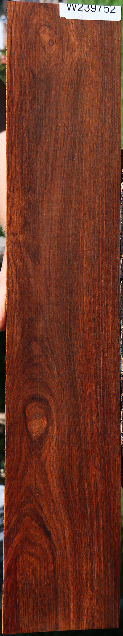 Cocobolo Micro Lumber
