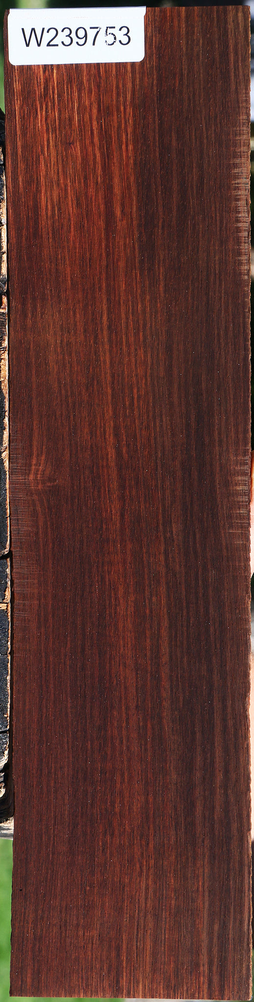 Cocobolo Micro Lumber