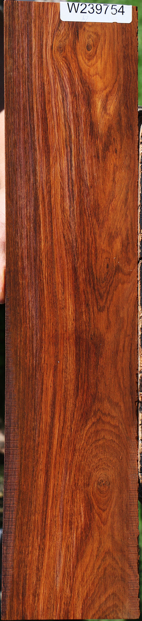 Cocobolo Micro Lumber