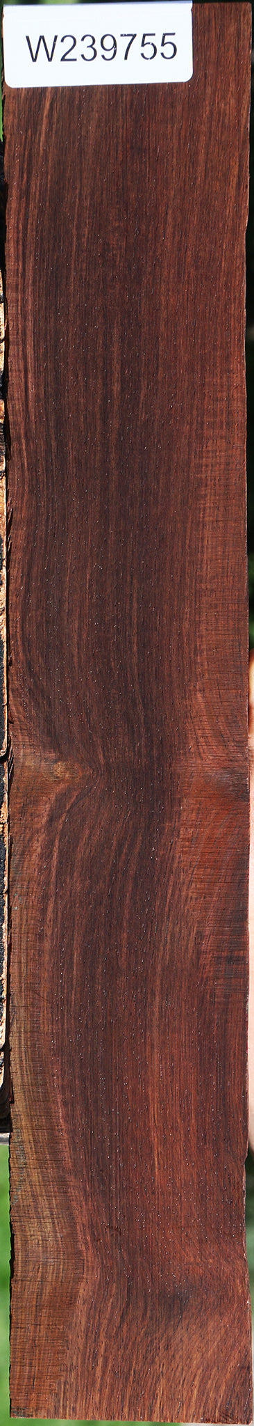 Cocobolo Micro Lumber