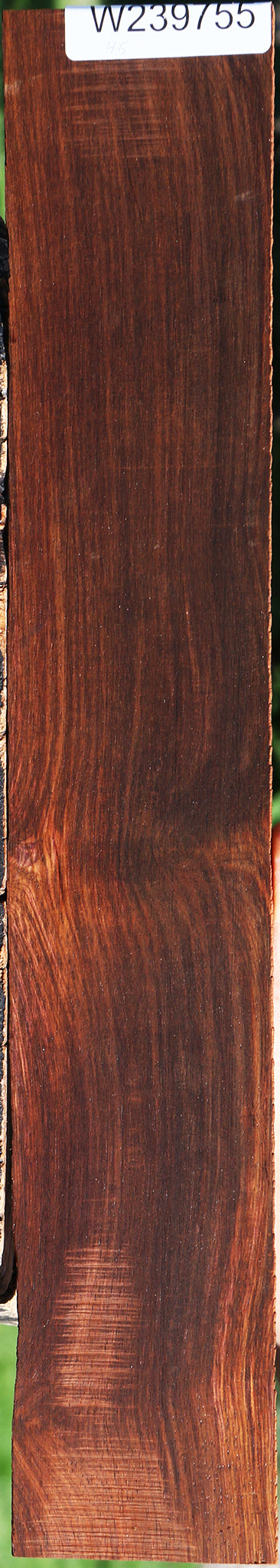 Cocobolo Micro Lumber
