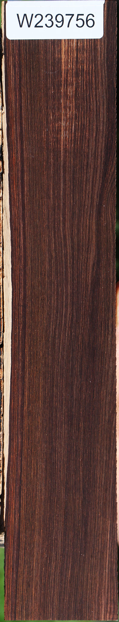 Cocobolo Instrument Micro Lumber