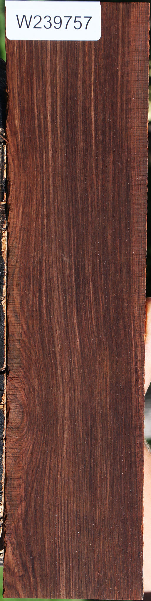 Cocobolo Micro Lumber