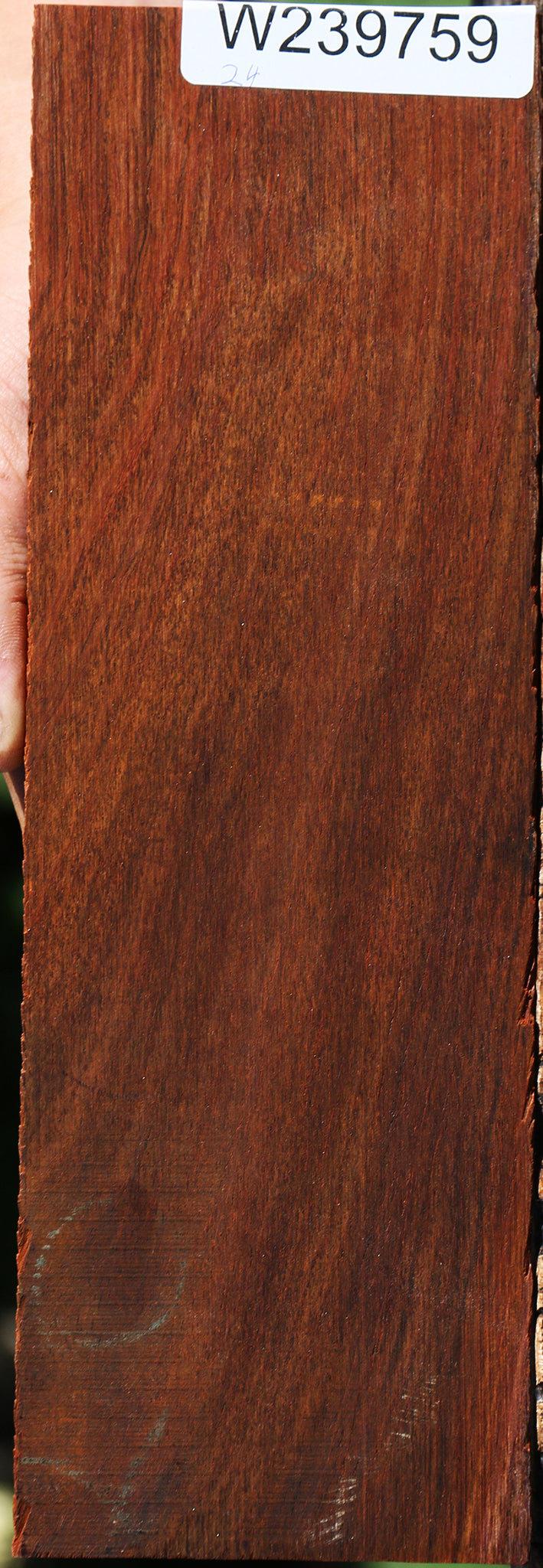 Cocobolo Micro Lumber