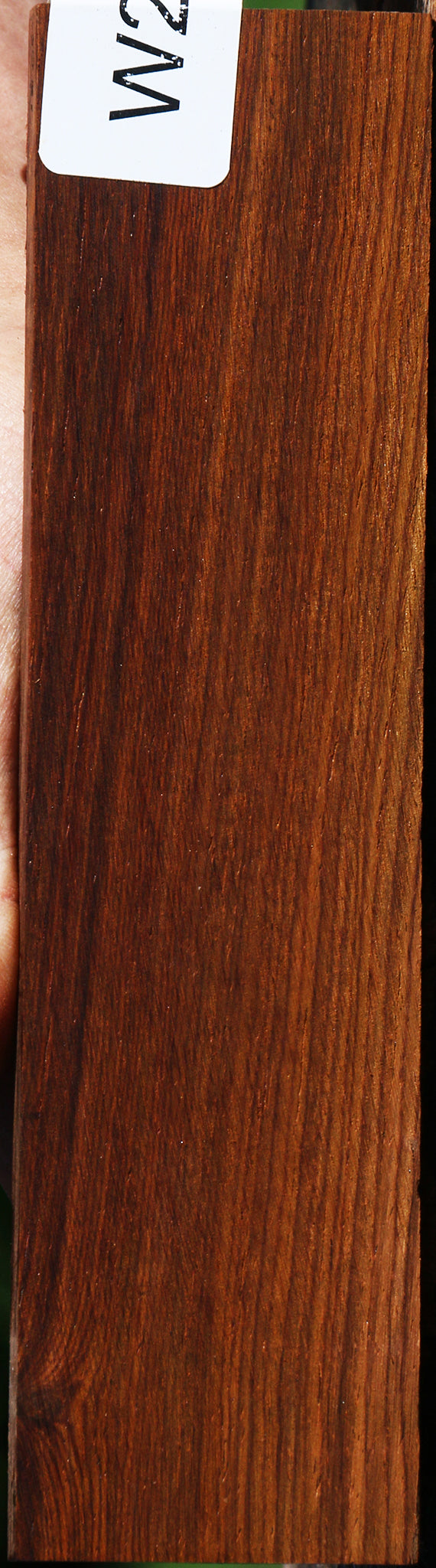 Quartersawn Cocobolo Bridge Blank