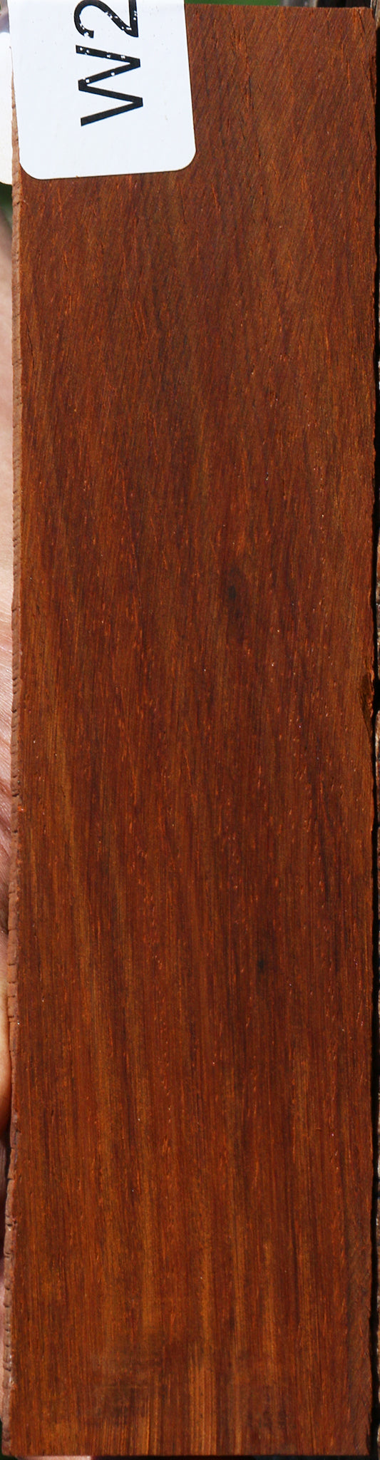 Cocobolo Micro Lumber