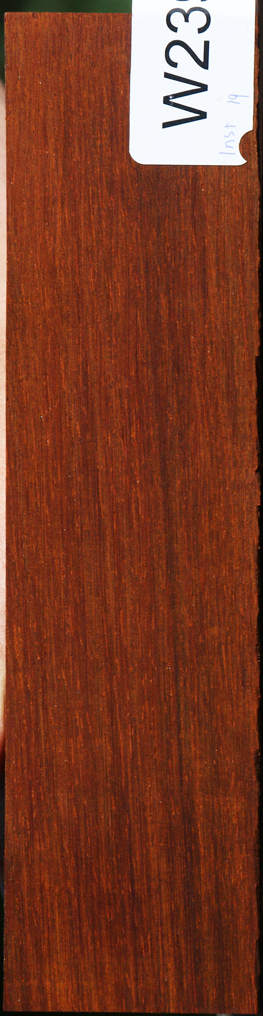 Cocobolo Bridge Blank