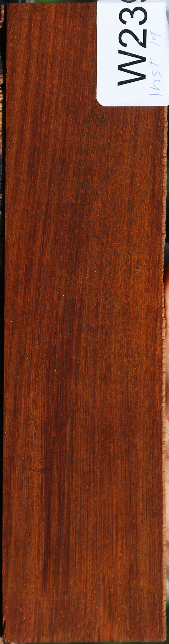 Quartersawn Cocobolo Bridge Blank