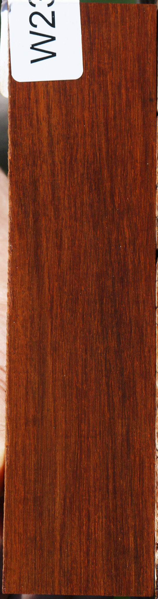 Quartersawn Cocobolo Bridge Blank