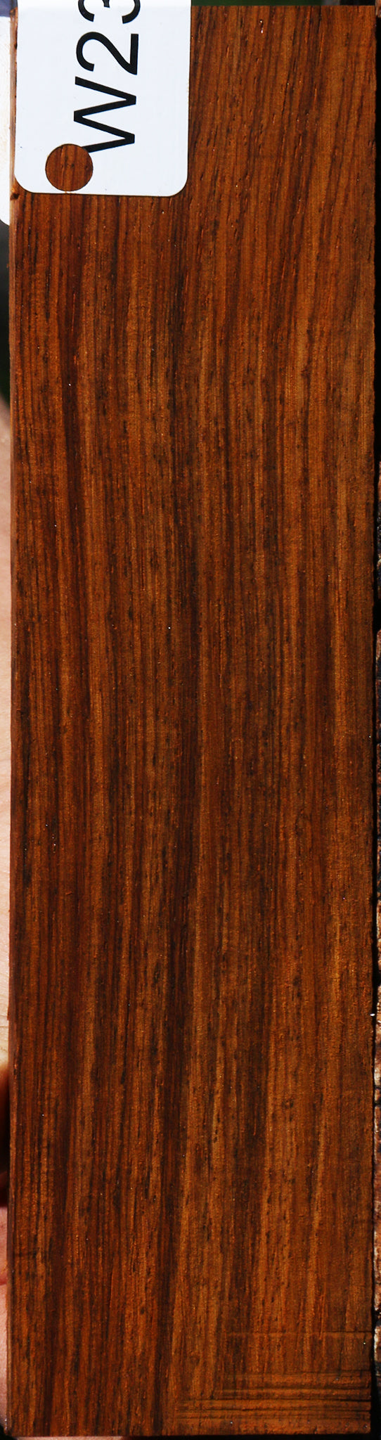Quartersawn Cocobolo Bridge Blank