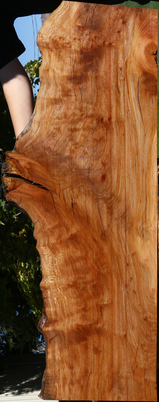 Figured Rustic Sycamore Live Edge Lumber