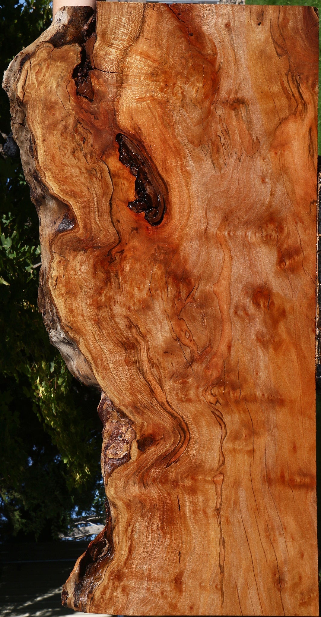 Sycamore Live Edge Lumber