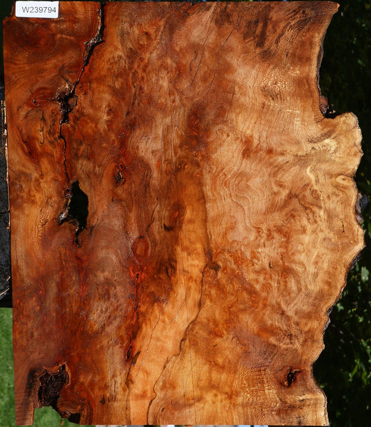 Figured Rustic Sycamore Live Edge Lumber