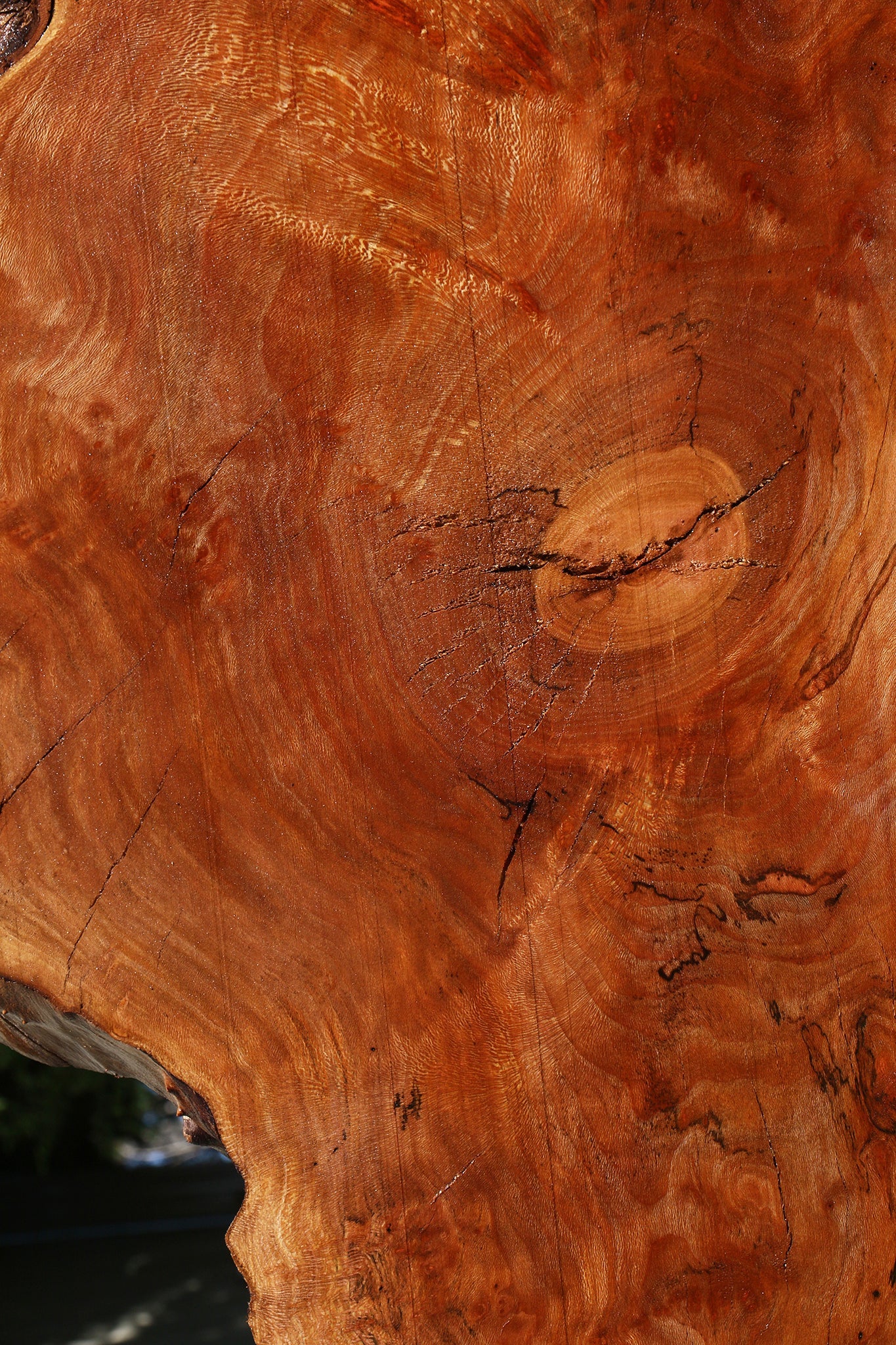 Rustic Sycamore Live Edge Slab