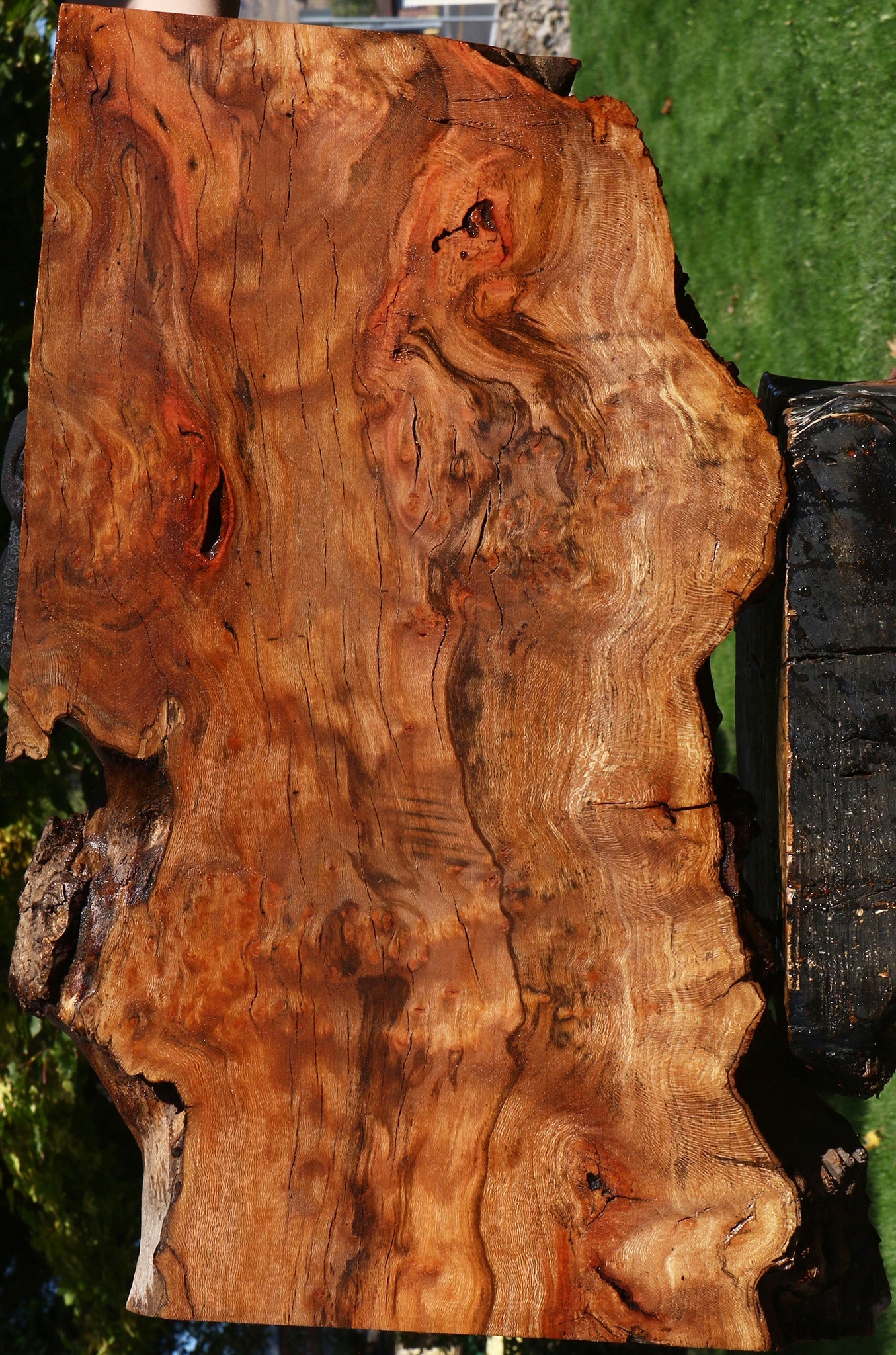 Figured Sycamore Live Edge Lumber