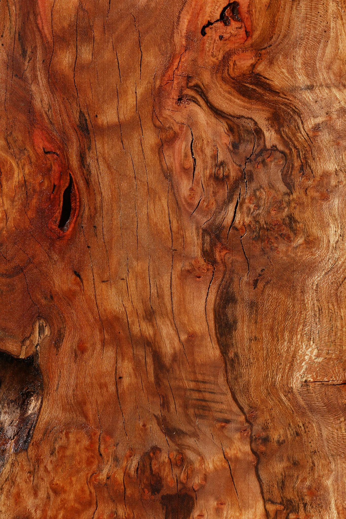 Figured Sycamore Live Edge Lumber