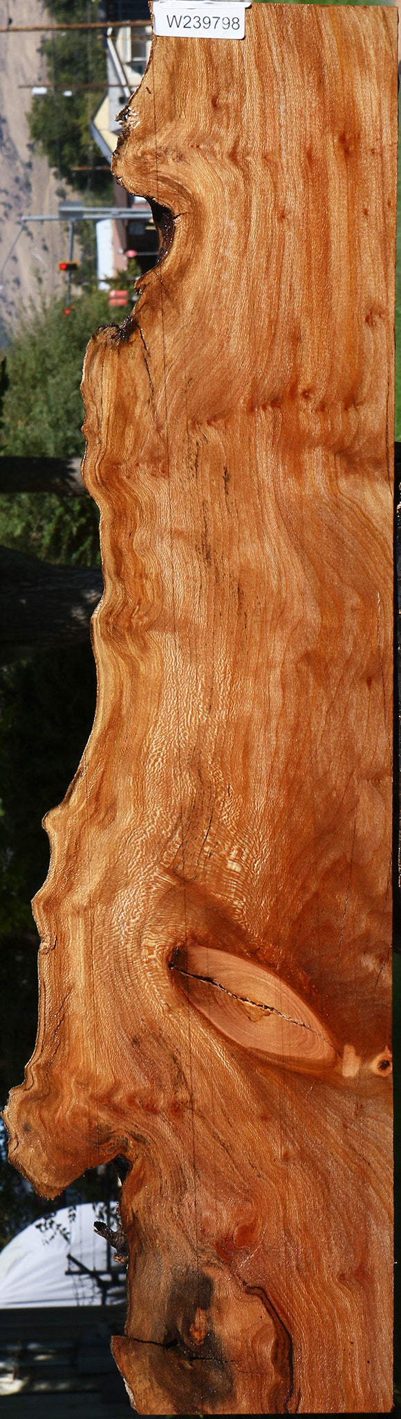 Figured Rustic Sycamore Live Edge Lumber
