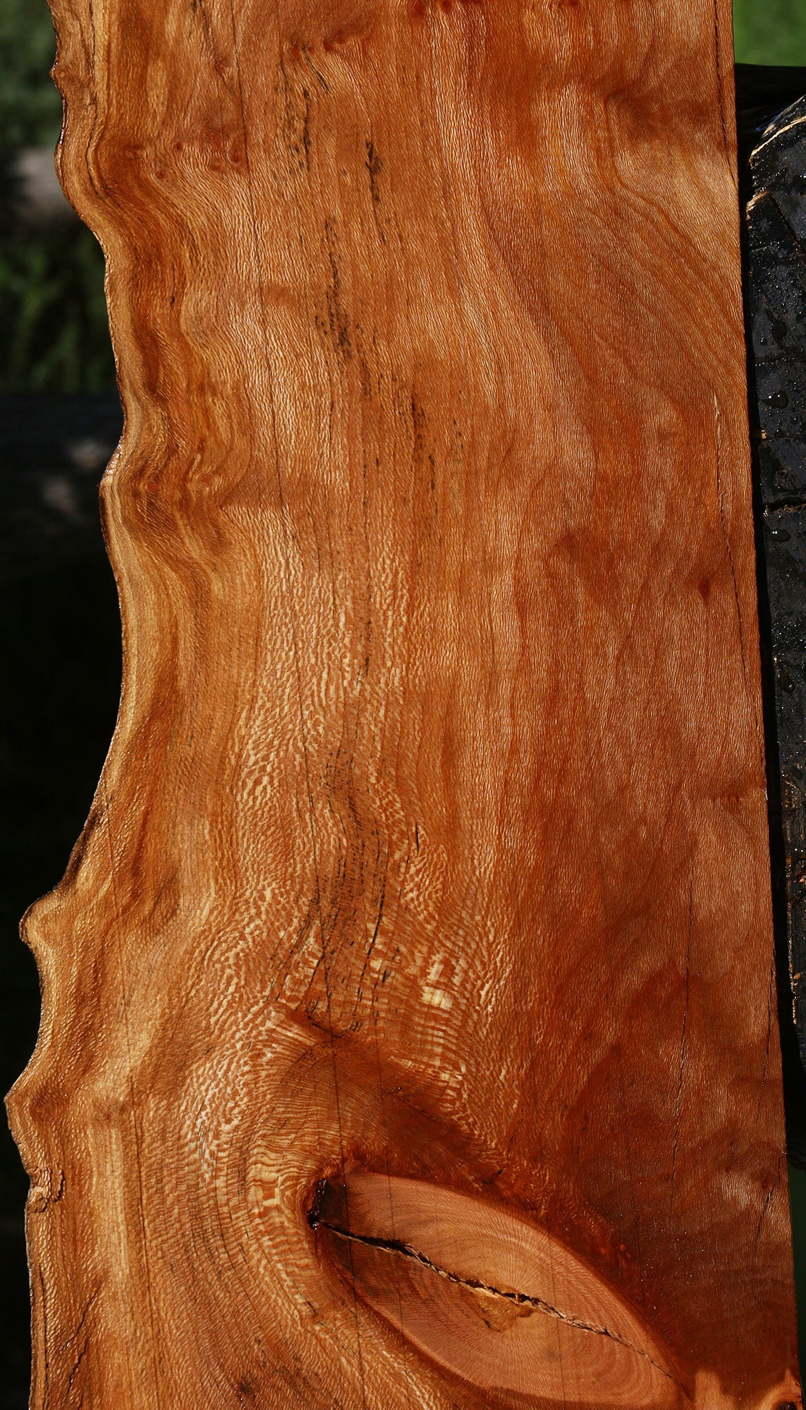 Figured Rustic Sycamore Live Edge Lumber