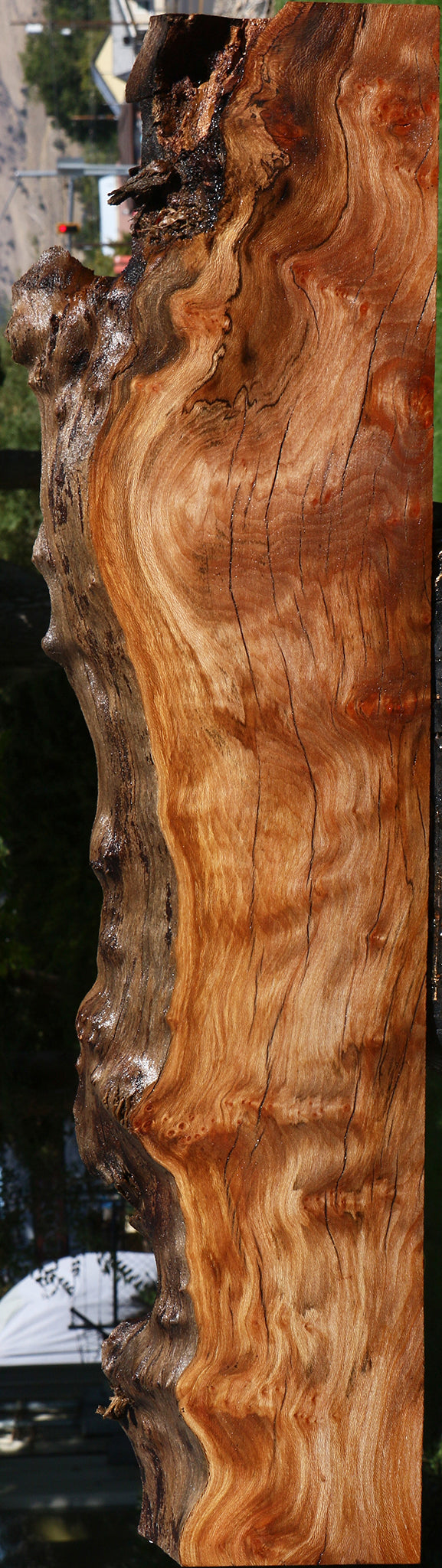 Figured Rustic Sycamore Live Edge Lumber