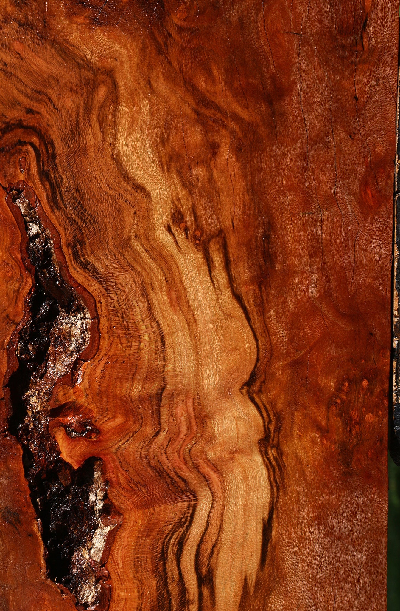 Figured Rustic Sycamore Live Edge Mini Slab