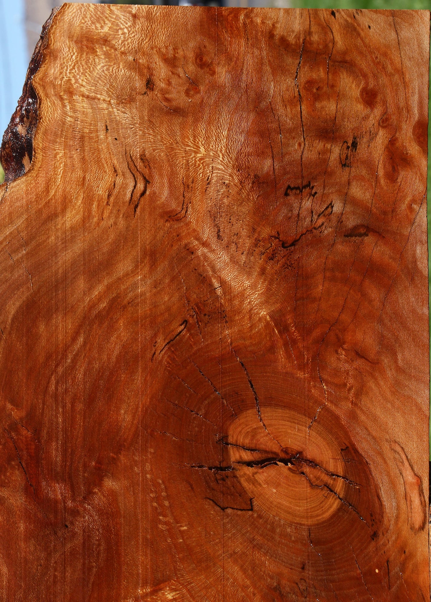 Figured Rustic Sycamore Live Edge Lumber