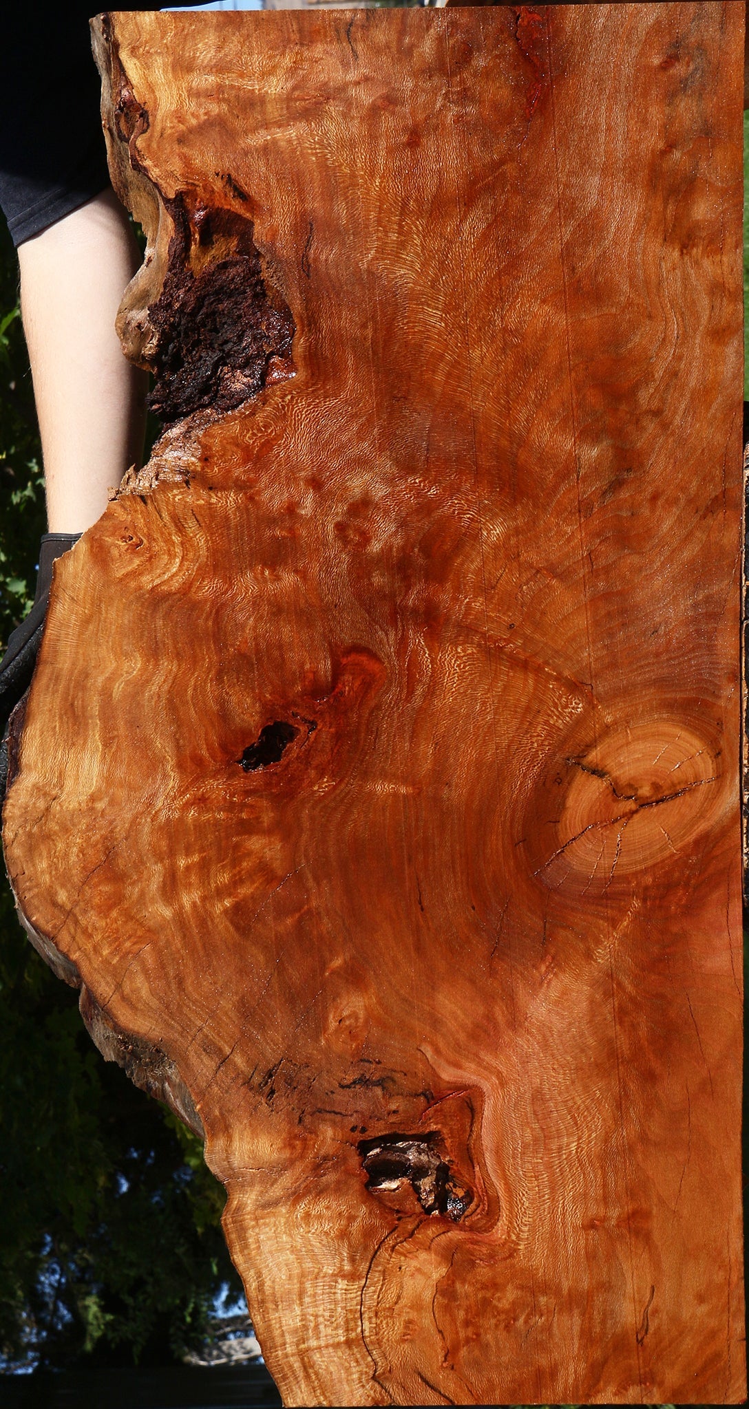 Figured Rustic Sycamore Live Edge Lumber