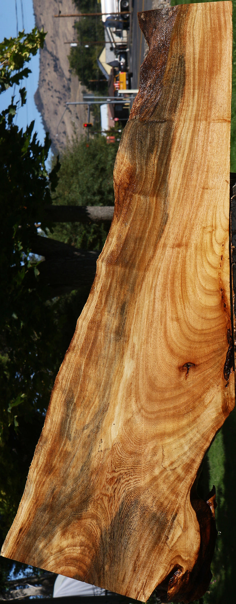 Zelkova Live Edge Lumber – Cook Woods