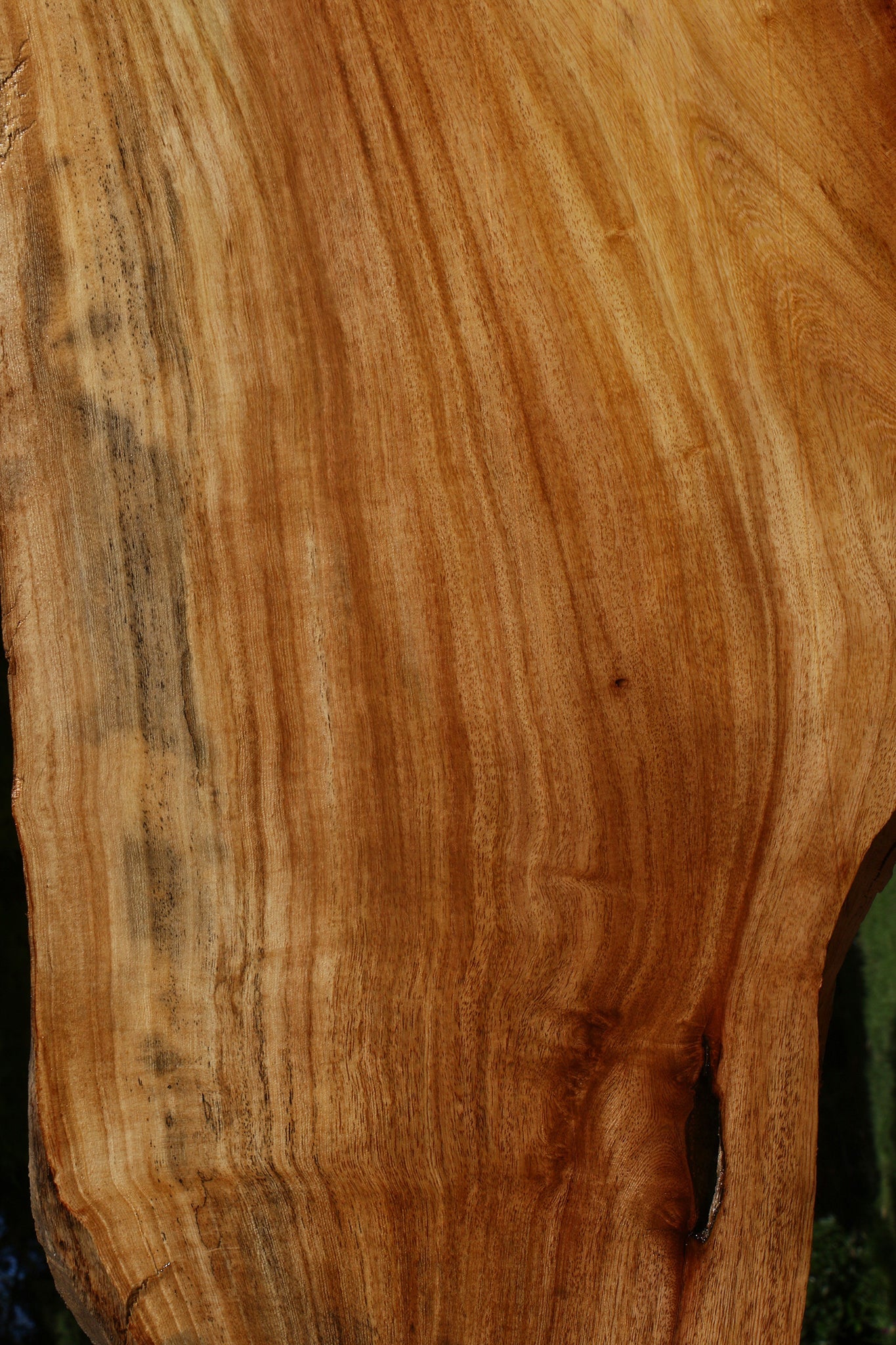 Figured Zelkova Live Edge Mini Slab