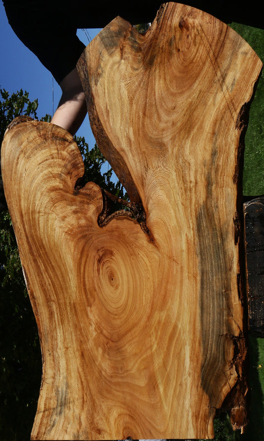 Figured Zelkova Live Edge Lumber