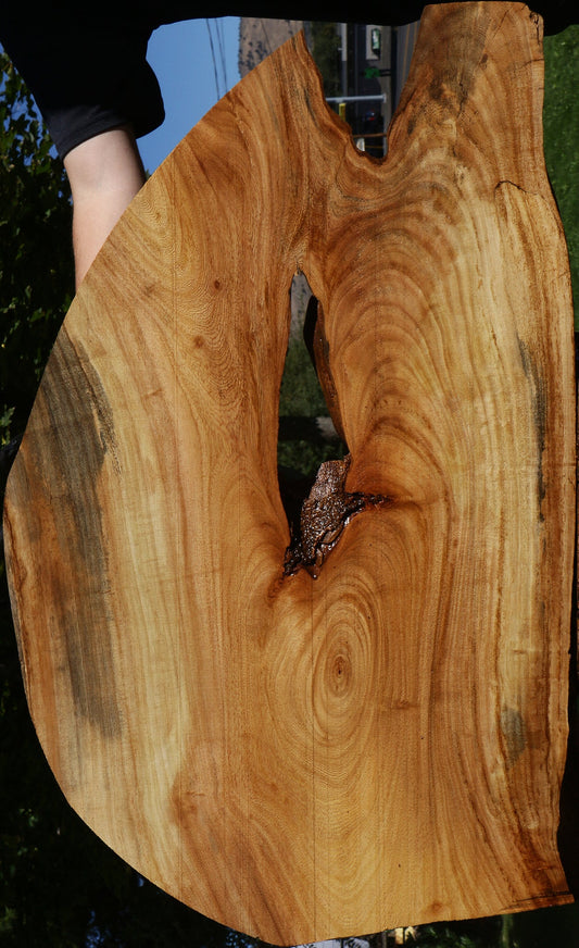Figured Zelkova Live Edge Lumber
