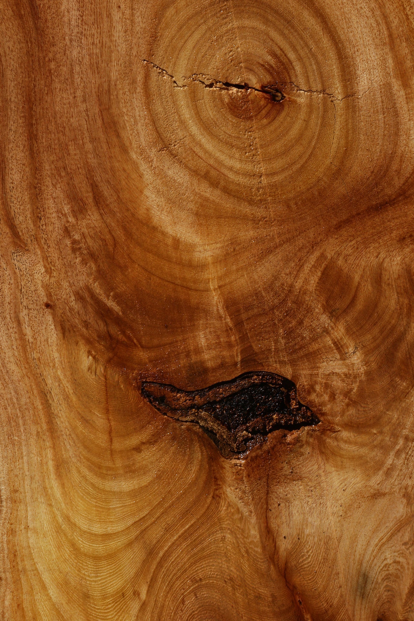 Figured Zelkova Live Edge Lumber