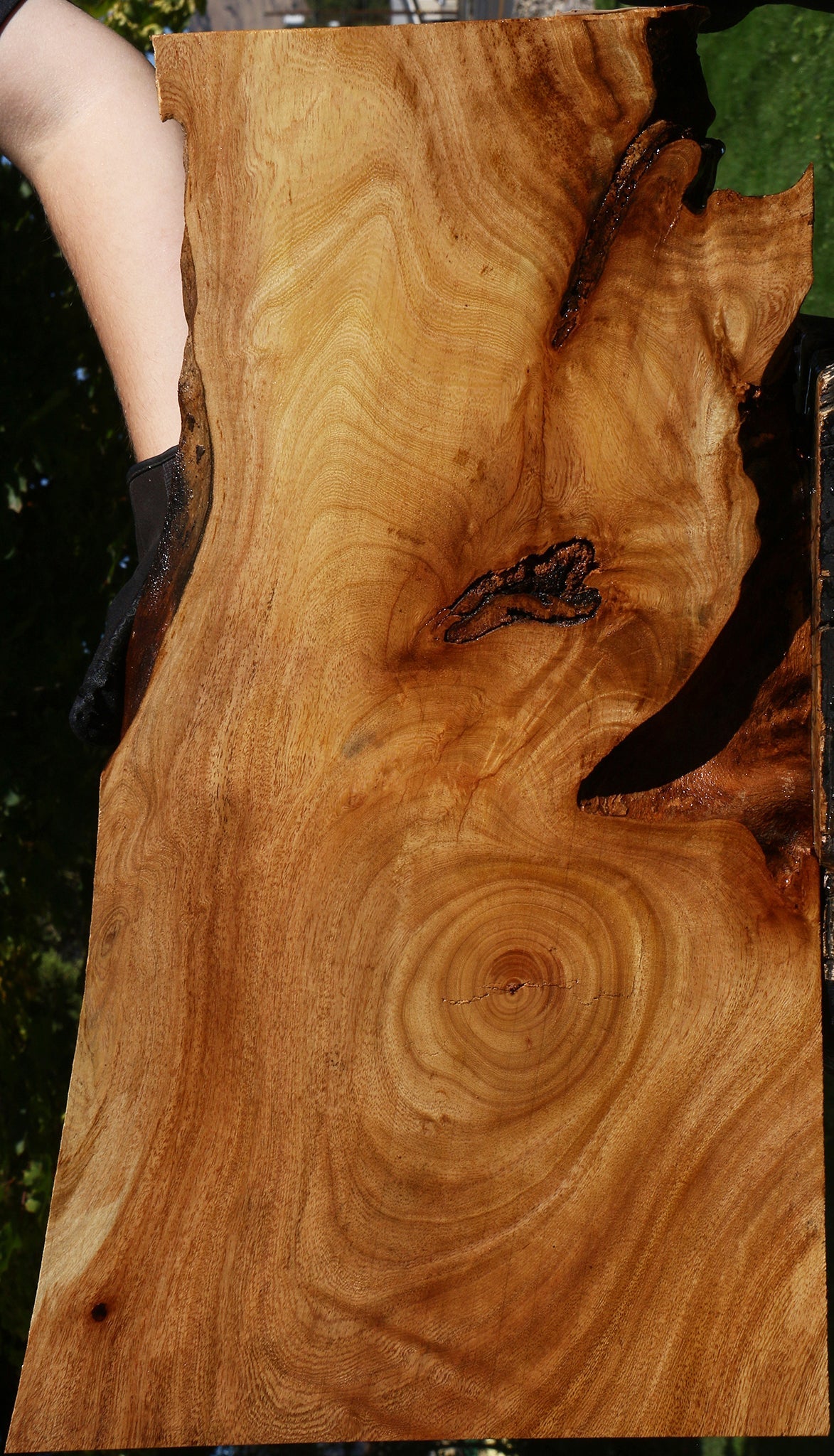 Figured Zelkova Live Edge Lumber – Cook Woods