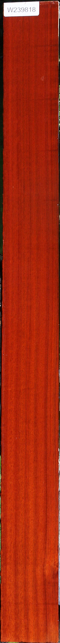 Figured Quartersawn Bloodwood Lumber