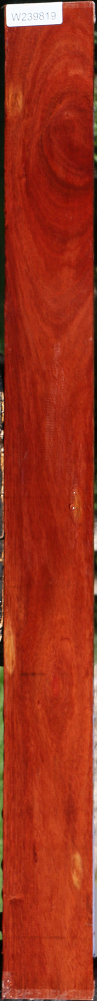 Figured Bloodwood Lumber