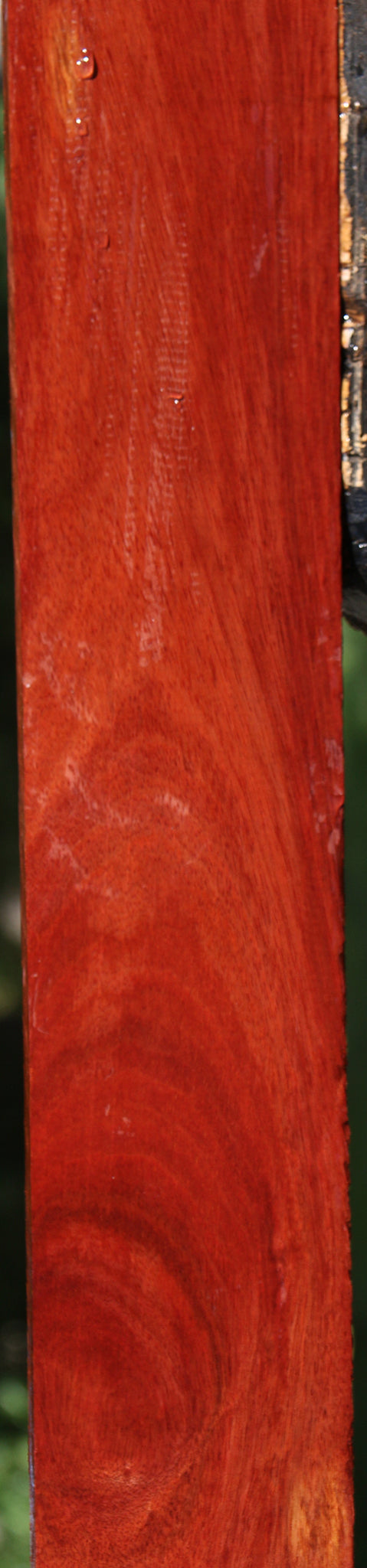 Figured Bloodwood Lumber