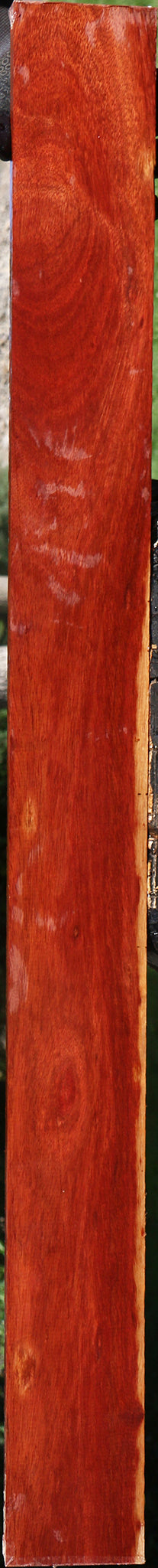 Figured Bloodwood Lumber