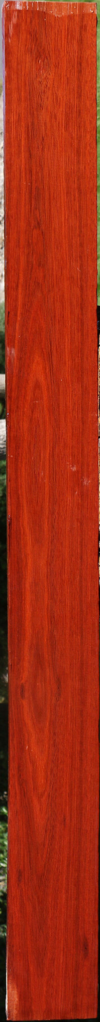 Bloodwood Lumber