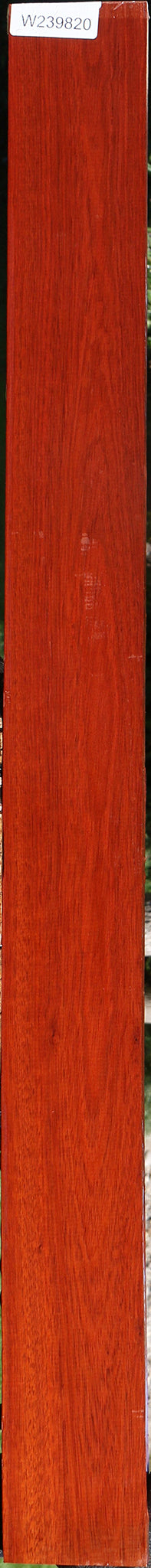 Bloodwood Lumber