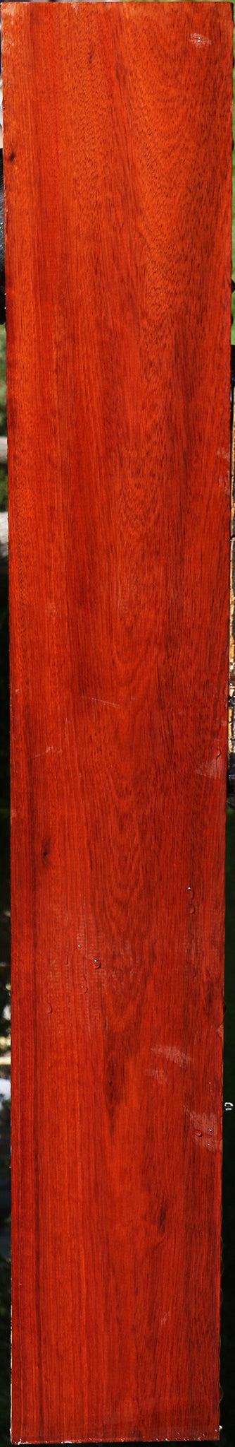Bloodwood Lumber