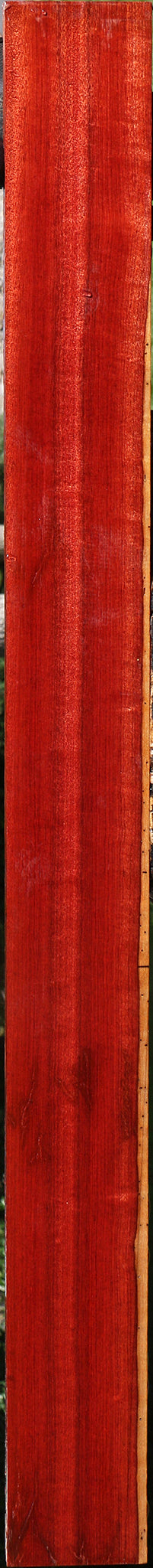 Figured Rustic Bloodwood Lumber